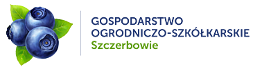 Szkółka i producent borówki - Gospodarstwo Borówki Amerykańskiej